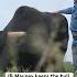 Bull Rider J B Mauney Broke His Neck On Arctic Assassin But There S No Hard Feelings