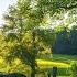 The Most Relaxing Classical Music Pieces