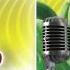Don T Do That AUDIO TRACK Gummibär The Gummy Bear