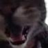 Кот мяукает в камеру но это фонк мем с Cats Cat Edit