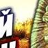 ARK Survival Evolved ХАРДКОРНОЕ НАЧАЛО НОВЫЙ СЕЗОН 1