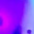 TAME IMPALA It Feels Like We Only Go Backwards Live Milano 2016