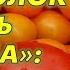 В теплице в потолок плевать некогда всегда есть дело