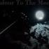 Allan Taylor Colour To The Moon