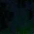 Dota Live Dota Allstars 7 03b RGC Don T Try This At Home