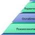 Тревожні стани та кардіоваскулярний ризик