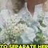 Norway S Princess Märtha Louise Marries American Shaman In Private Ceremony