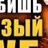 Ты не любишь меня сизый голуб Есенин в поп формате Музыка