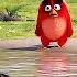 Озеро мудрости Angry Birds в кино 2016 Момент из мультфильма Shorts