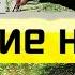 Спецназ Экстремальное метание ножей 2 Вадим Старов точность метания заточек с дальней дистанции