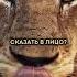 друзья рядом душа кайфует