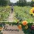 Learn Cantonese Chinese Fruit 學水果 And Vegetables 學蔬菜 Garsons Pick Your Fruit Farm