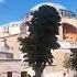 Ayasofya Camii Nden Ezan Sesi Yükseldi