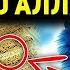Великая тайна почему Аллах создал кошек которая поразит тебя Dawah медиа