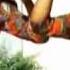 Kesho Canaan Choir EAGT Uyovu Church Geita Official Video