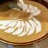 Angel Or Shorts Latteart