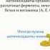 Как в лаборатории получить живую воду