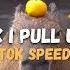 Ok I Pull Up Capybara Meme Speed Up TikTok