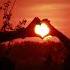 SounEmot Los Hermosos Momentos Contigo