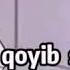 Tòying Kuni Talpada Qoldim