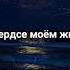 в сердце моём живи ты мой глоток любви