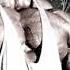 Psycho Playa SH3TLVIZ Pxlsdead Ronnie Coleman Slowed Bass Ver
