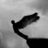 Angels Live TOM WALKER Slowed Down