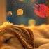 12 Hours Calming Dog Music Gentle Sleep Sounds For Dogs Anti Separation Anxiety