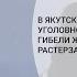 В Якутске СК завел уголовное дело после гибели женщины которую растерзали собаки