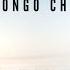 Bongo Cha Remix