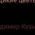 Владимир Кузьмин Дикие цветы