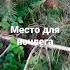 курс выживания