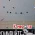 Кремируйте ее быстрее