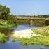 Кофанова Нина Николаевна Село моё родное стихи