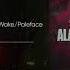 Dark Twisted And Cruel Alan Wak