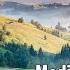Arthada Friends Namo Narayan Full Album Sri Chinmoy Mantras With Lyrics Spiritual Music