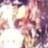 Steve Harris Suffers A Fall During The Show Steve Harris Sofre Uma Queda Durante Show