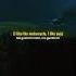 Me Gustas Tu Manu Chao Slowed Lyrics Tiktoksongs Music Editaudio
