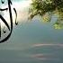 ذكر الله اداء المنشد مولانا كورتش