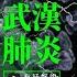 台灣本土第2例 台商傳染太太 輕症也得慎防 公共電視 有話好說