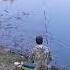 Ловись рыбка большая и маленькая рыбалка Fisherman рыбак берег Fisher Shorts Shortvideo