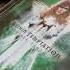 Within Temptation Caged Audio Version