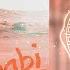 V F M Style Abu Dhabi Replay