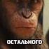 Обезьяны восстали против людей