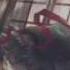 IOSYS Murasame United The Unbelievable Alice Assault