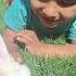 Behzad S Adorable Bond