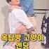 깜짝놀란 엔딩 혜화연극 옥탑방고양이 커튼콜