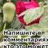 Одна женщина обнаружила ЭТО у себя в саду Что это