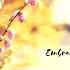 Embrace Me Global Rockerz Extended Remix