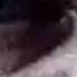 Chris Benoit Titantron 2007